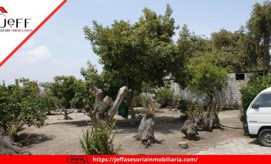 place photo 69