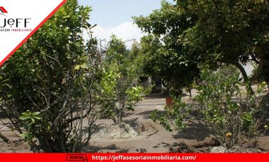 place photo 44