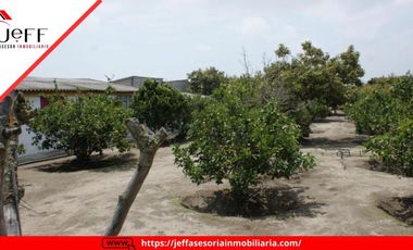 place photo 59