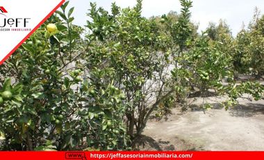 place photo 47