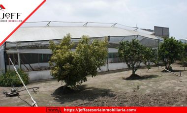 place photo 39