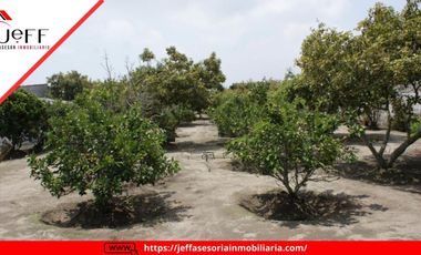 place photo 57