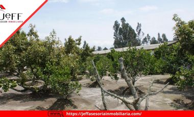 place photo 49