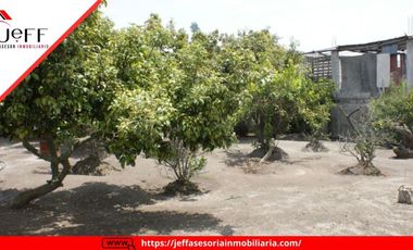 place photo 41