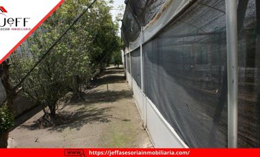 place photo 63