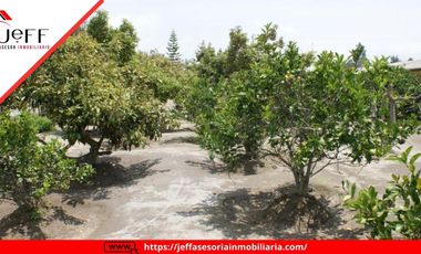 place photo 51
