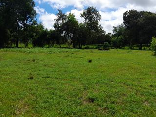 Foto 2 de LOTE CONDOMINIO RICAURTE CUNDINAMARCA
