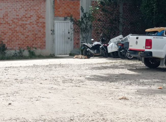 place photo 2