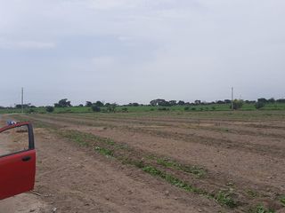 Terreno Agricola de 6 has en Humay (Murga)