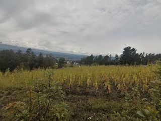 Terreno De Venta 3000m2 - Sector La Macarena (Conocoto)