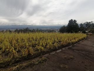 Terreno De Venta 3000m2 - Sector La Macarena (Conocoto)