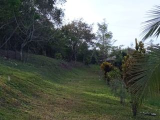 Vendo Terreno 10,80 Has Tarapoto Perú