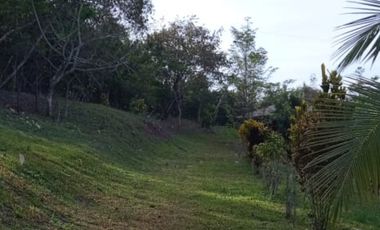 place photo 42