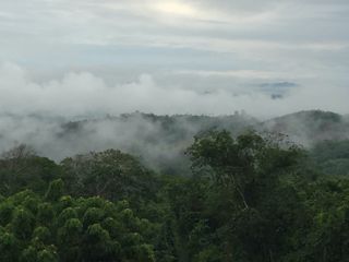 Vendo Terreno 10,80 Has Tarapoto Perú