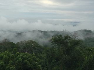 Foto 56 de Vendo Terreno 10,80 Has Tarapoto Perú