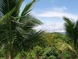 Vendo Terreno 10,80 Has Tarapoto Perú