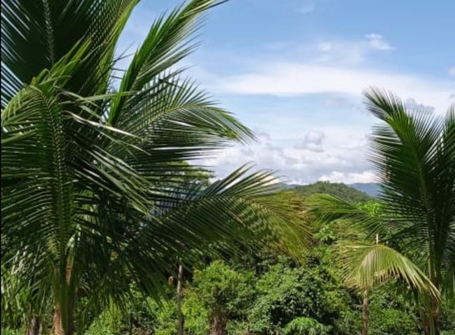 place photo 48
