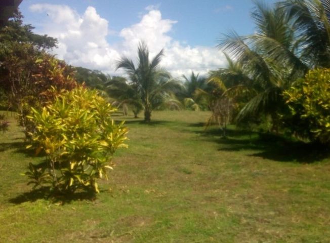place photo 33