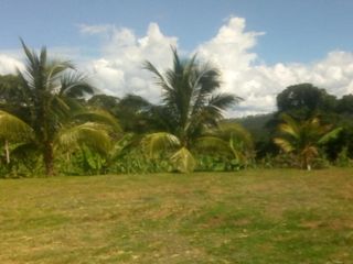 Foto 36 de Vendo Terreno 10,80 Has Tarapoto Perú