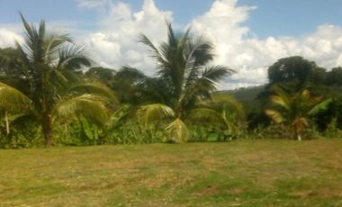 place photo 36