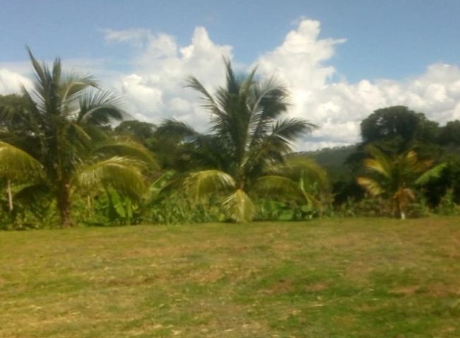 place photo 36