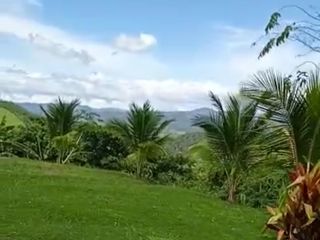 Foto 44 de Vendo Terreno 10,80 Has Tarapoto Perú