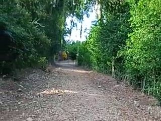 Foto 5 de Vendo Terreno 10,80 Has Tarapoto Perú