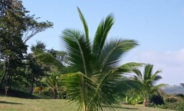 place photo 43