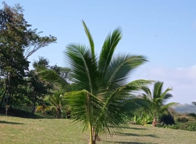 place photo 43