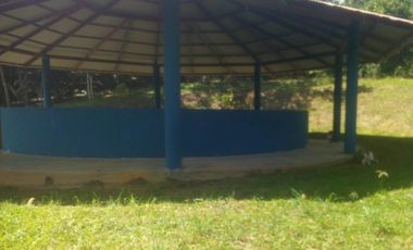 place photo 35