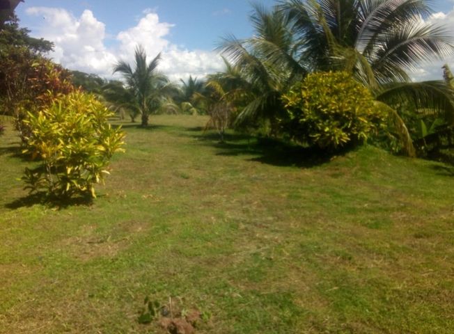 place photo 21