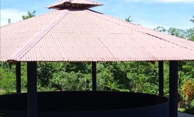 place photo 46