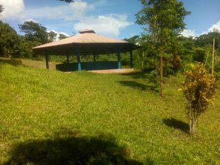 Foto 13 de Vendo Terreno 10,80 Has Tarapoto Perú