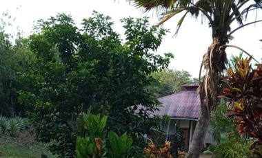 place photo 41