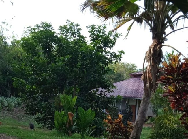 place photo 41