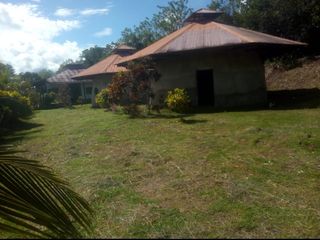 Foto 10 de Vendo Terreno 10,80 Has Tarapoto Perú