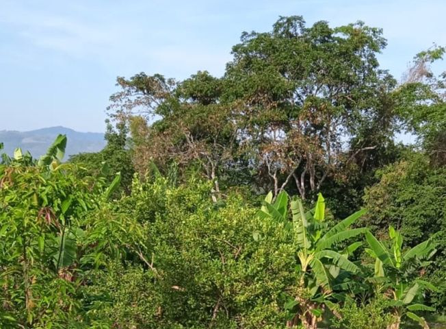 place photo 37