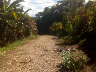 Vendo Terreno 10,80 Has Tarapoto Perú