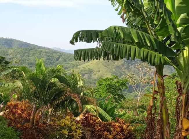 place photo 39