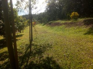 Foto 23 de Vendo Terreno 10,80 Has Tarapoto Perú