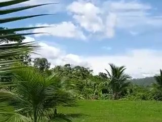 Foto 45 de Vendo Terreno 10,80 Has Tarapoto Perú