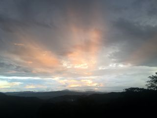 Foto 53 de Vendo Terreno 10,80 Has Tarapoto Perú
