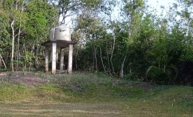 place photo 40