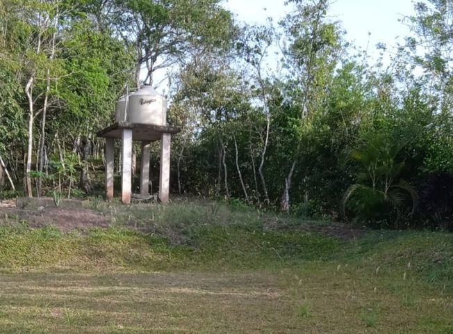 place photo 40