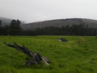 Foto 16 de Hacienda Ganadera Plana en Cayambe apta para floricola