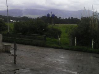 Foto 28 de Hacienda Ganadera Plana en Cayambe apta para floricola
