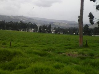 Foto 17 de Hacienda Ganadera Plana en Cayambe apta para floricola