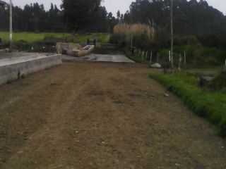 Foto 2 de Hacienda Ganadera Plana en Cayambe apta para floricola