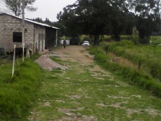 Foto 15 de Hacienda Ganadera Plana en Cayambe apta para floricola