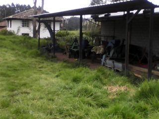 Foto 20 de Hacienda Ganadera Plana en Cayambe apta para floricola